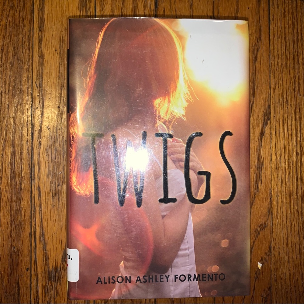 📚 5/$10 Twigs book